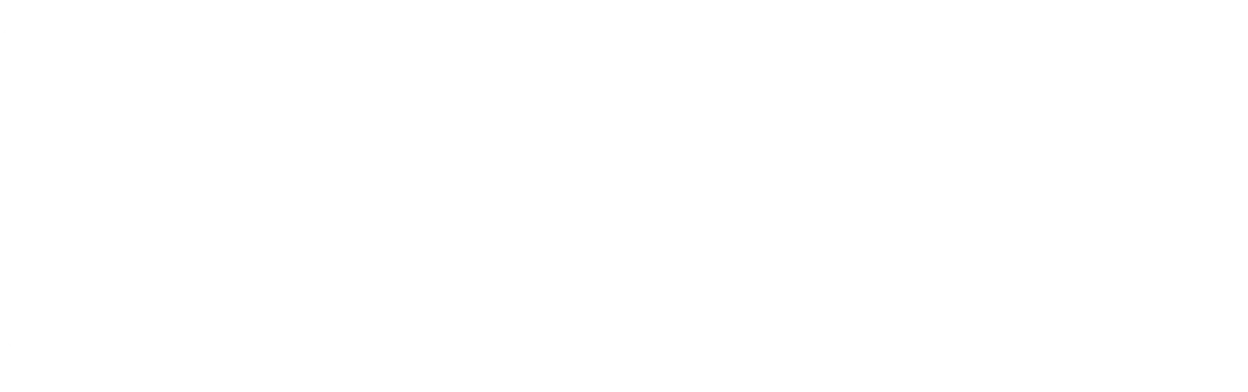 H&amp;R Special Springs logo